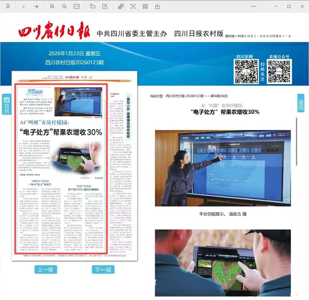 四川农村日报特别报道：AI“叫醒”安岳柠檬园 一张“电子处方”如何让果农增收三成
